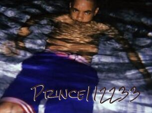 Prince112233