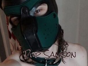 Pup_Samson