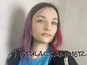 Petulacrammer