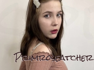 Primroseatcher