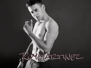 RoyMartinez Spicy Blogs