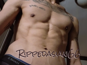 Rippedasian66