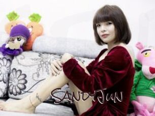 SandyJun