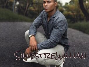 SilvestreWillian Spicy Blogs