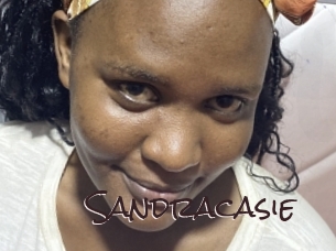 Sandracasie