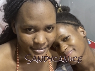 Sandycanice