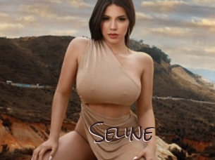 seline Spicy Blogs