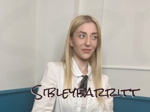 sibleybarritt Spicy Blogs