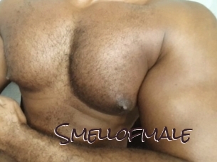 Smellofmale