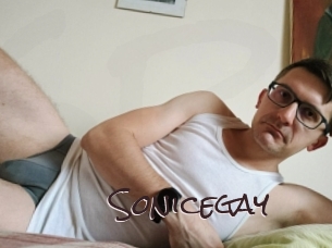 Sonicegay