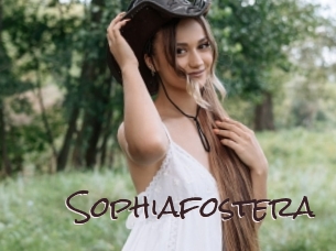 Sophiafostera