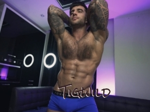 tigwild Spicy Blogs