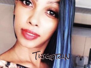 Tijgerin