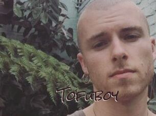 Tofu_boy