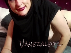 Vanezaleviz