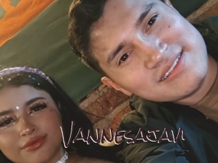 Vannesajavi