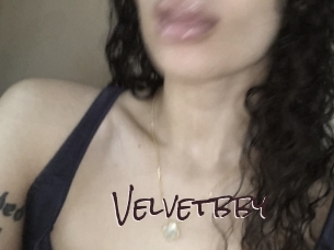 Velvetbby