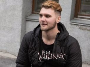 viking Spicy Blogs