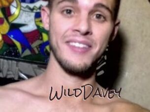 WildDavey