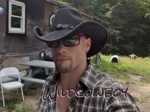 Wildcowboy