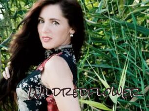 Wildredflower
