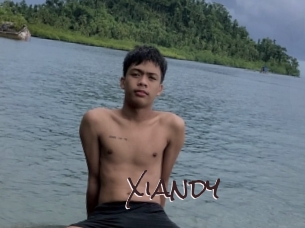 Xiandy