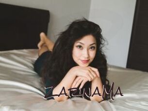 ZarinaMa Spicy Blogs