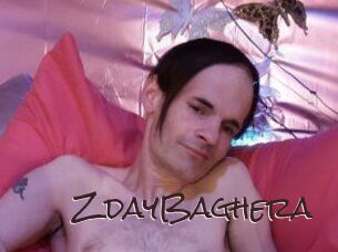ZdayBaghera