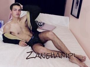 Zanehampi