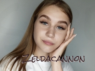 Zeldacannon