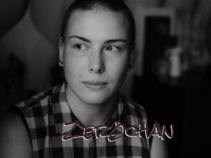 zer0chan Spicy Blogs