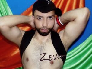 Zevit